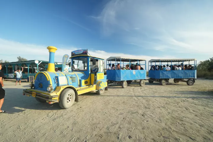 Tabăra Delta Dunării, ziua 3, fotografia 50