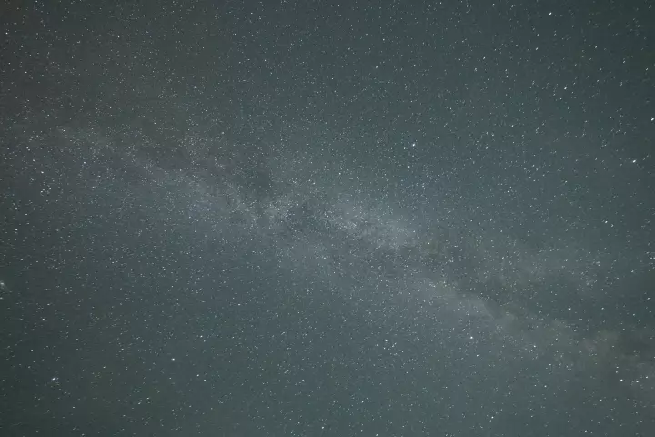 Tabăra Delta Dunării, ziua 3, fotografia 64