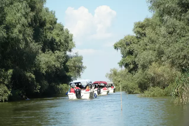 Tabăra Delta Dunării, ziua 4, fotografia 56