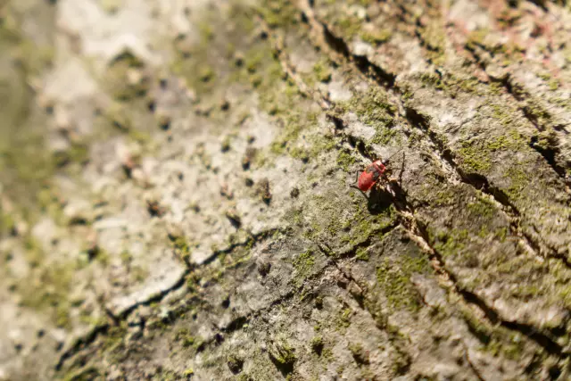 Excursia la Comana, fotografia 51